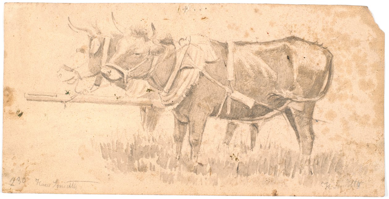 İki çekme çıtçıt by Hans Smidth