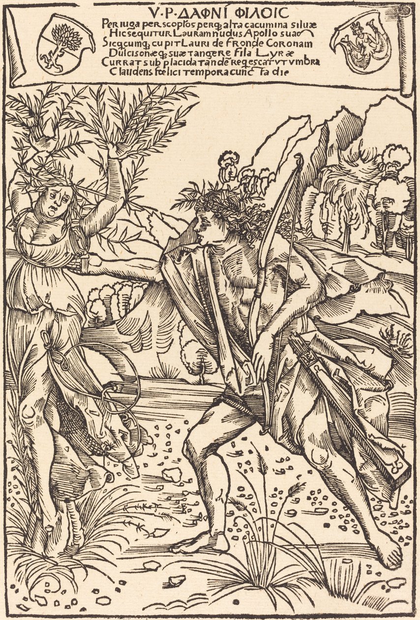 Apollon ve Defne by Hans Süss von Kulmbach