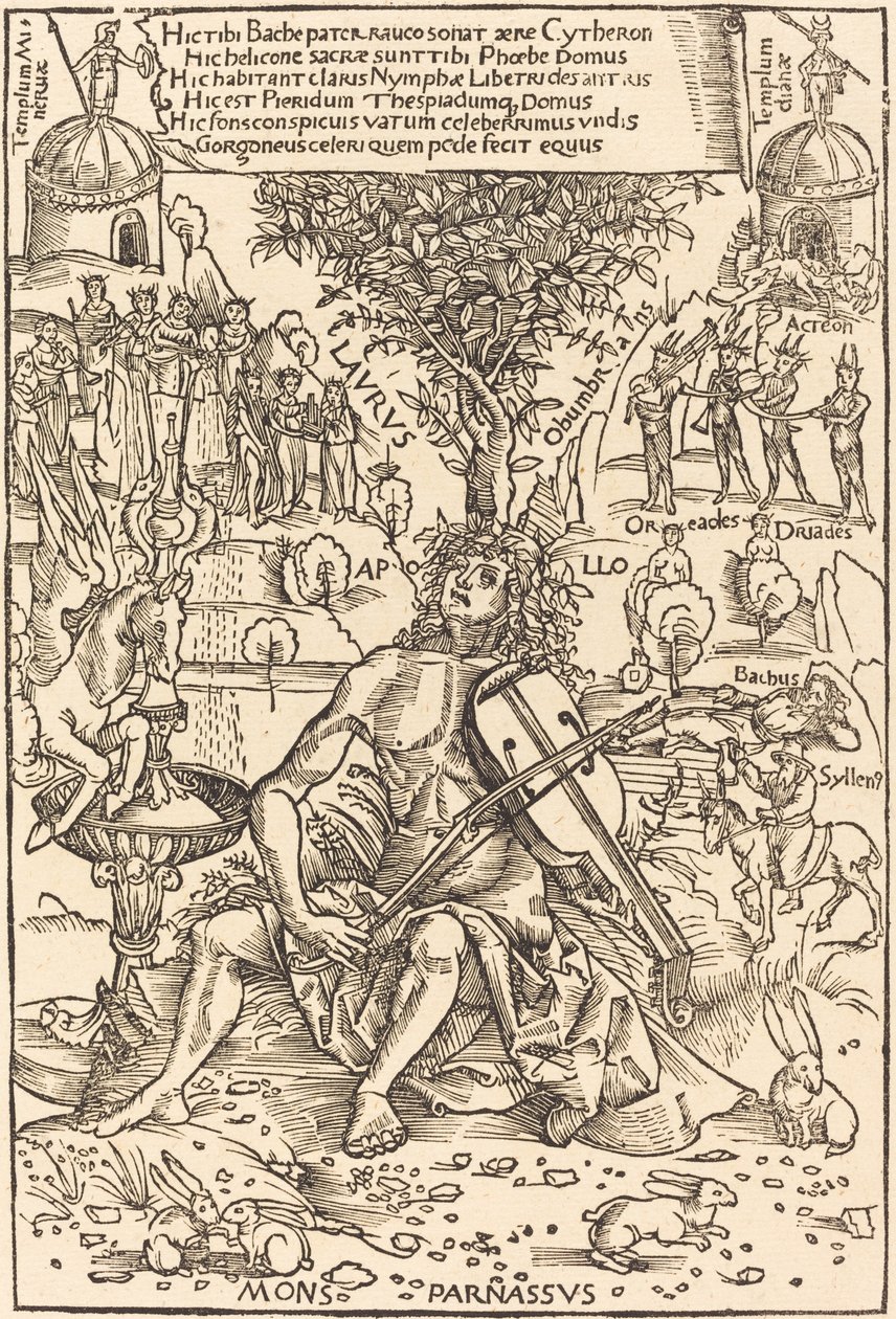 Parnassus