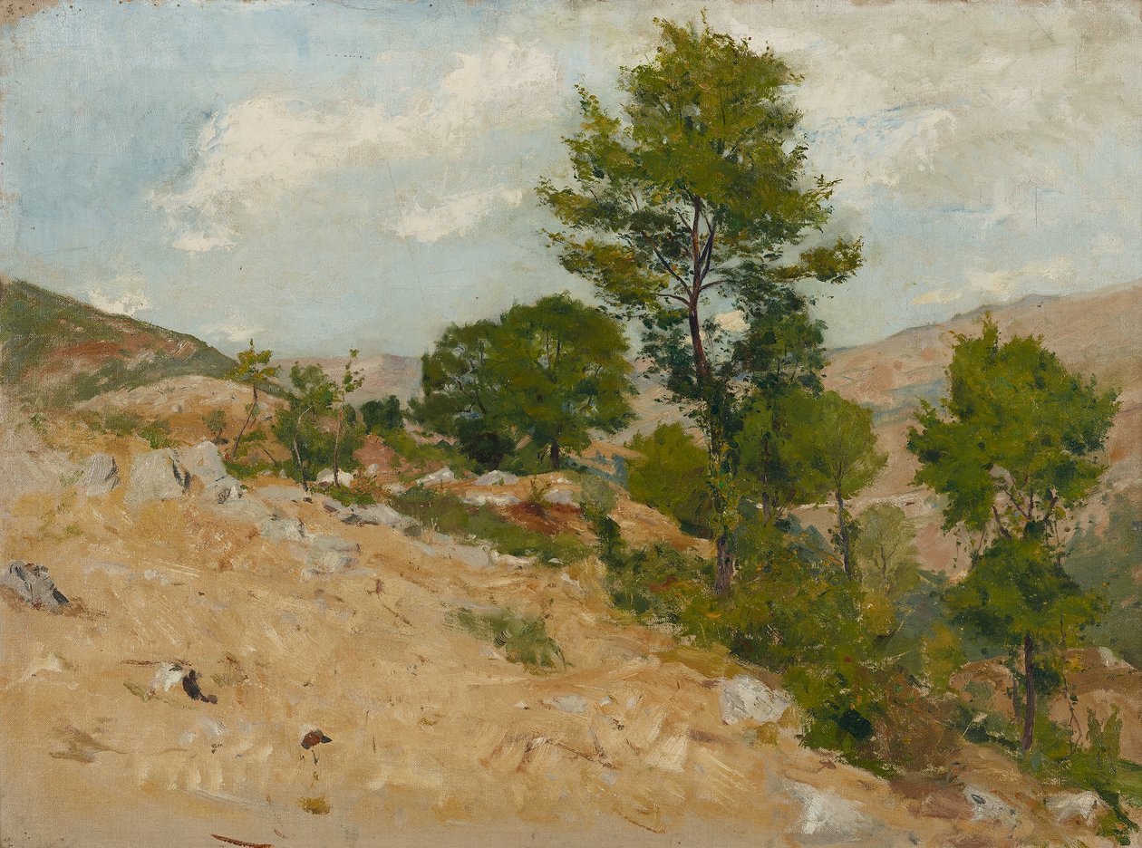güzel antikalar by Hans Tichy