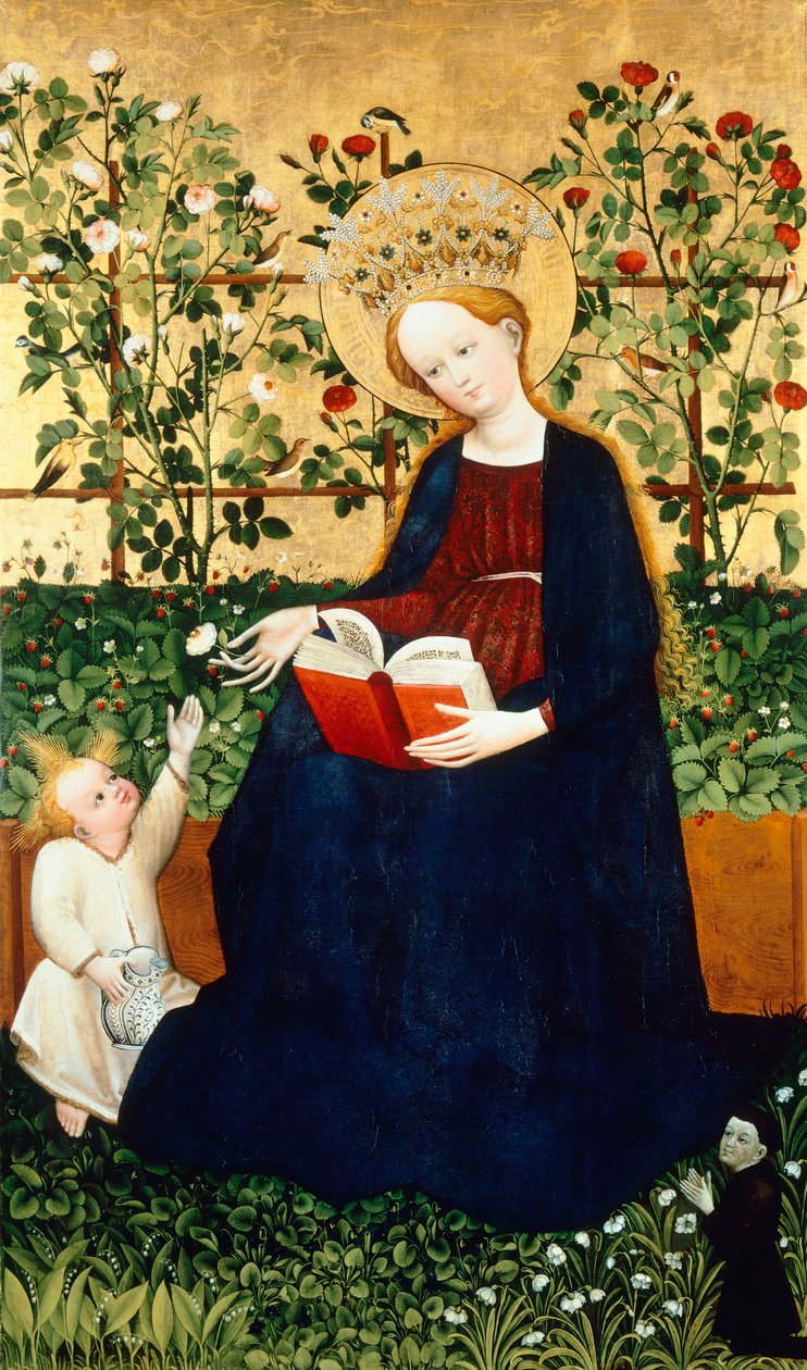  by Hans Tieffenthal