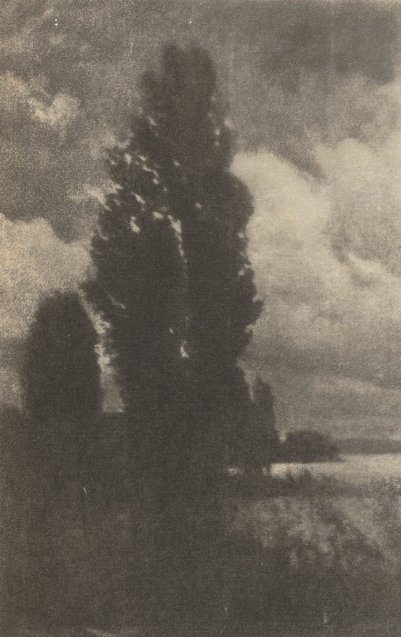 Kamera Çalışması: Kavaklar ve Bulutlar by Hans Watzek