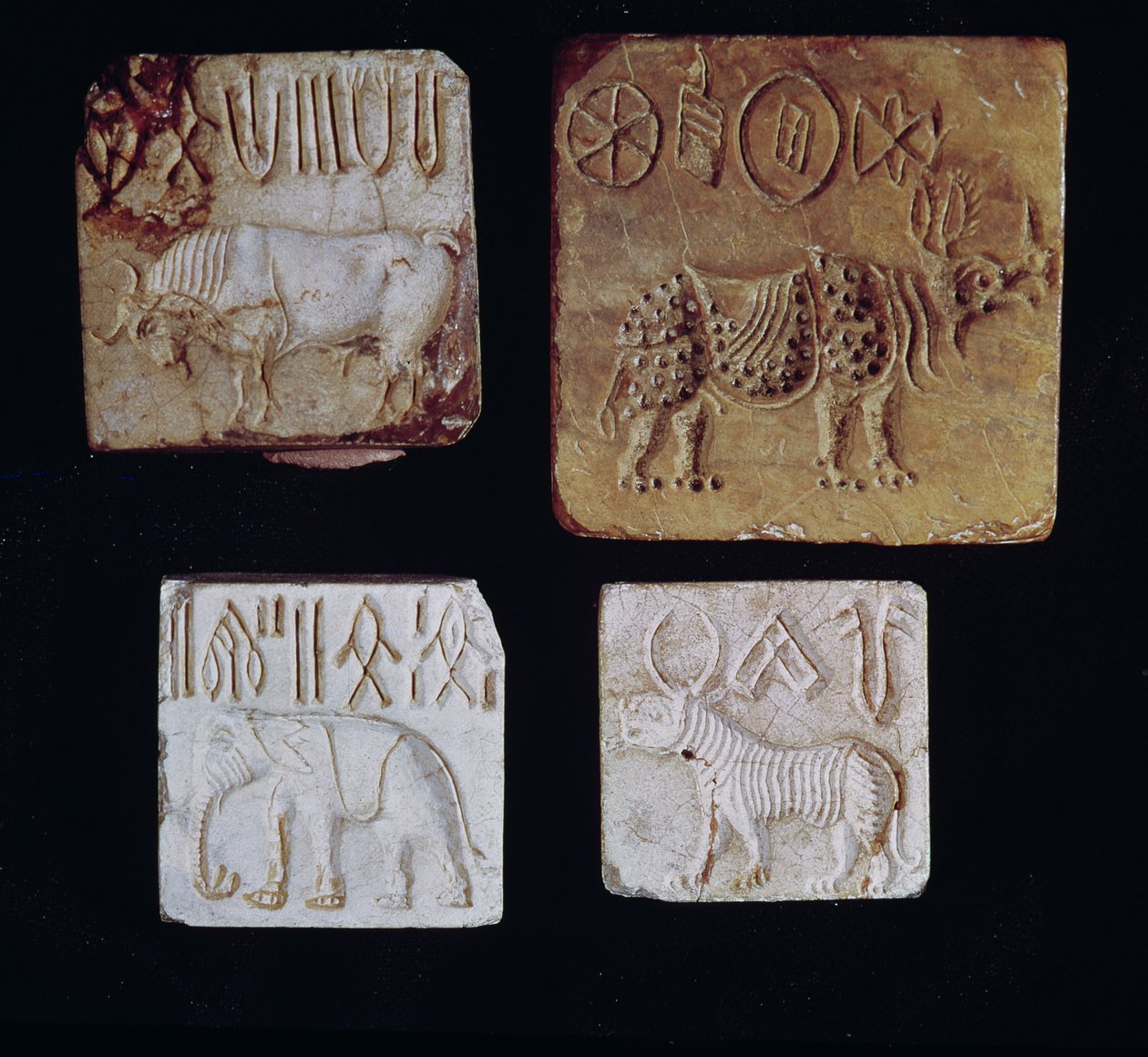 İndus Vadisi, Pakistan, MÖ 3000-1500