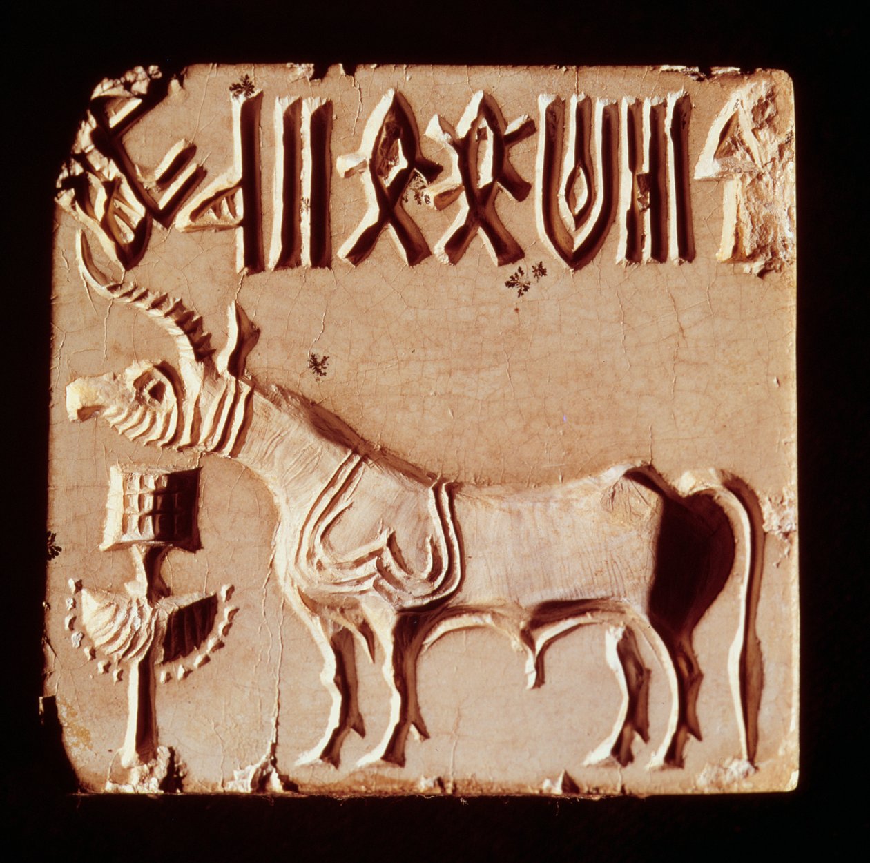 Mohenjo-Daro, İndus Vadisi, Pakistan, MÖ 3000-1500