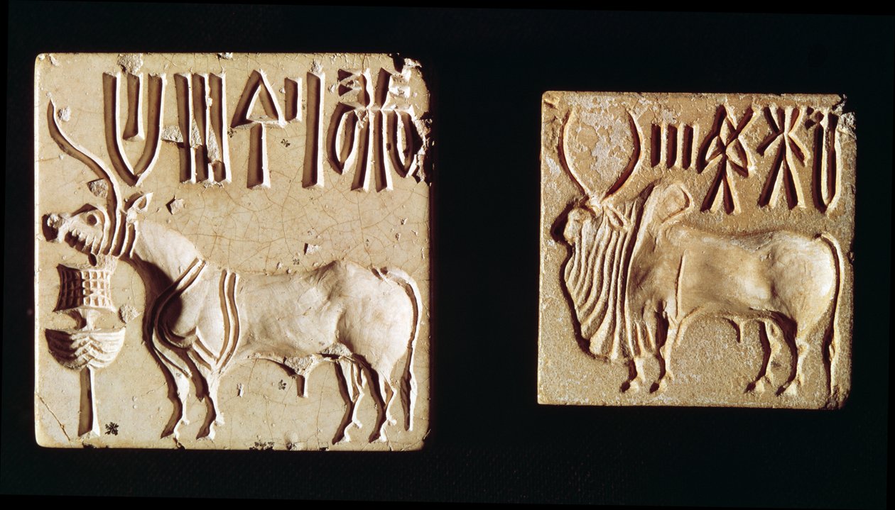 Mohenjo-Daro