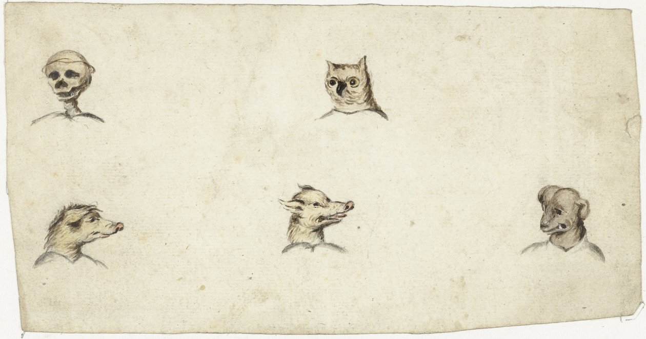 Dört hayvanın başı ve bir iskelet by Harmen ter Borch