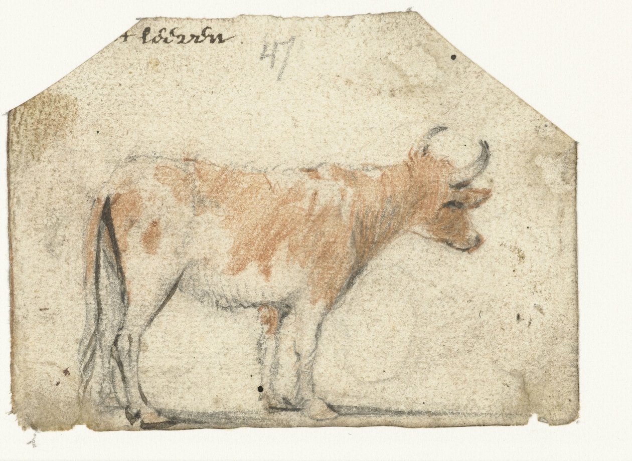 İnek, yandan by Harmen ter Borch