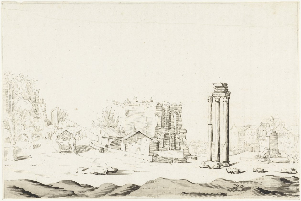 Ruïnes van de Campo Vaccino, Forum Romanum