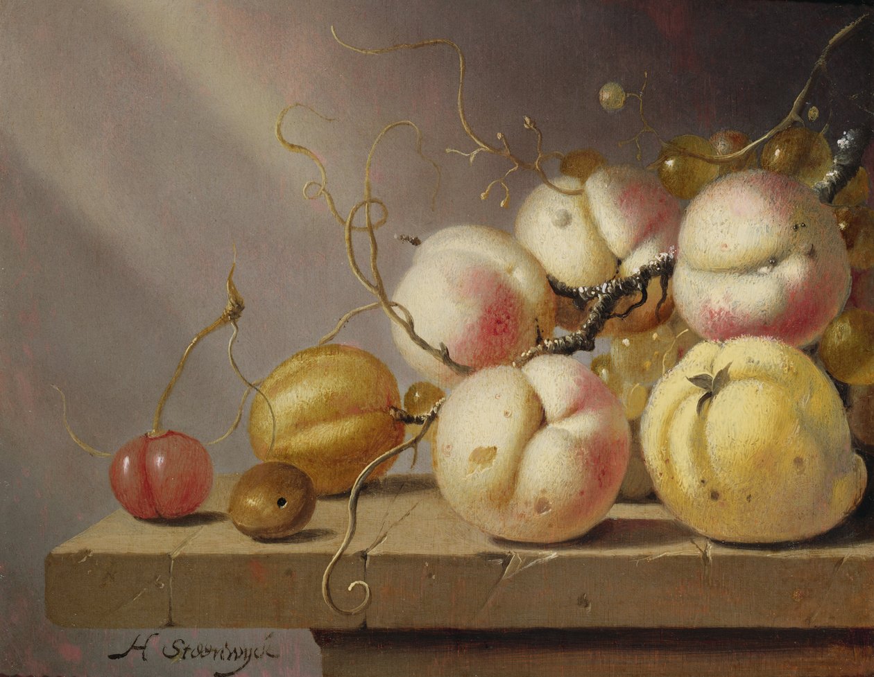Bir çıkıntı üzerinde meyve natürmort (panel) by Harmen van Steenwyck