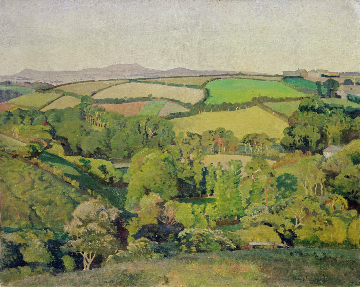 Drift Vadisi (tuval üzerine yağlı boya) by Harold Harvey
