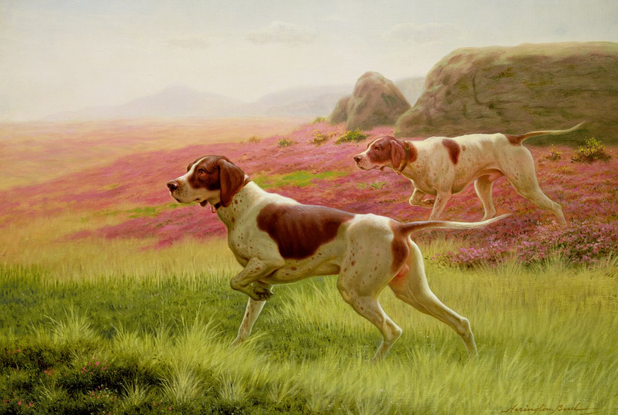 Bir Manzaradaki İşaretçiler, 19. yüzyıl by Harrington Bird