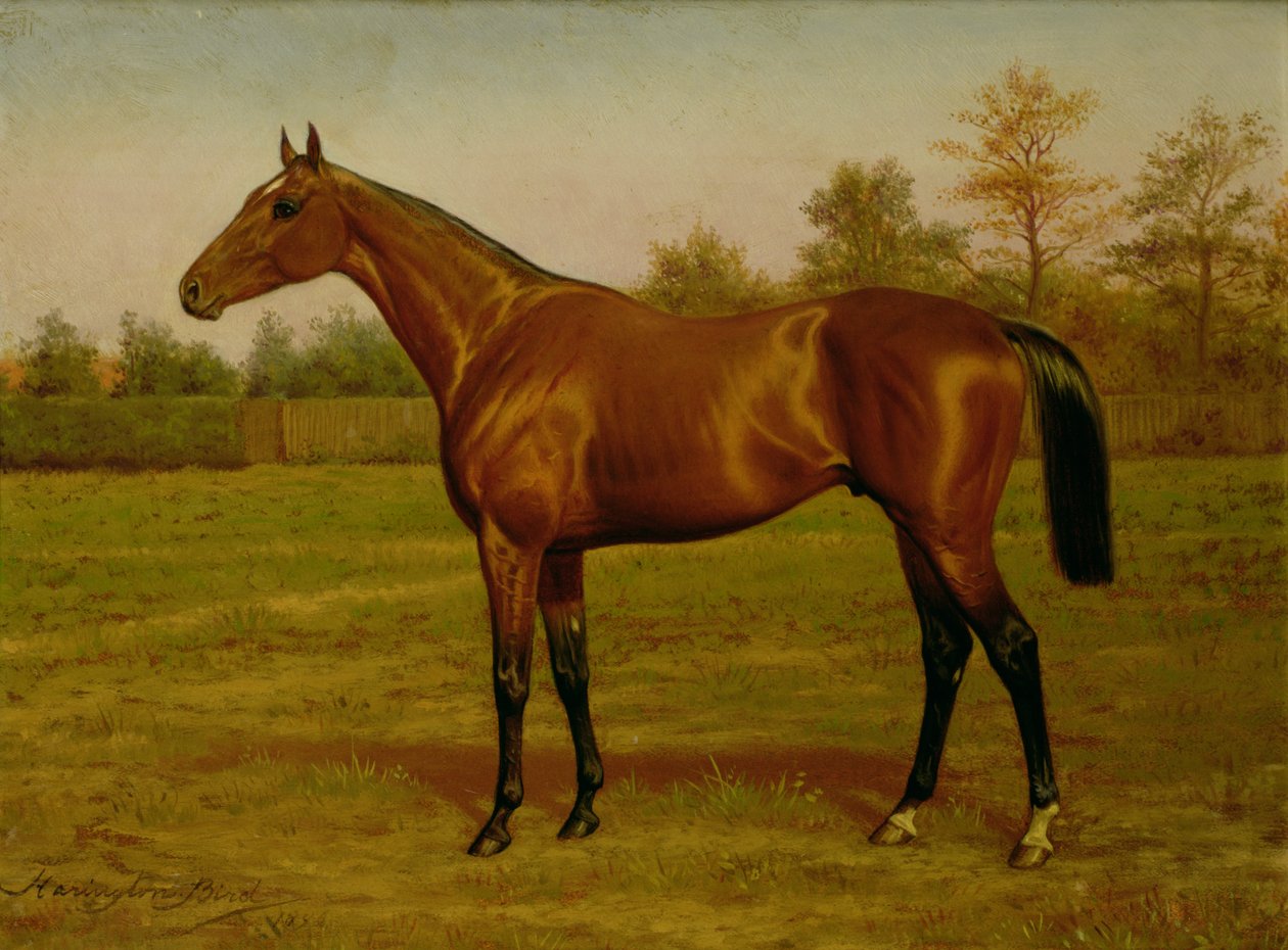 Işınglass, Üçlü Taç, 1893 by Harrington Bird