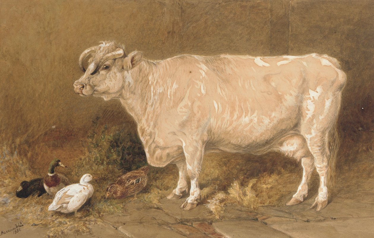Bir ahırda ördekler ile inek by Harrison William Weir