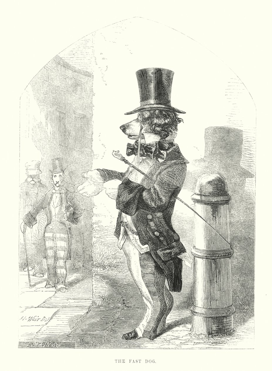 Komik Köpekler: Hızlı Köpek (gravür) by Harrison William Weir