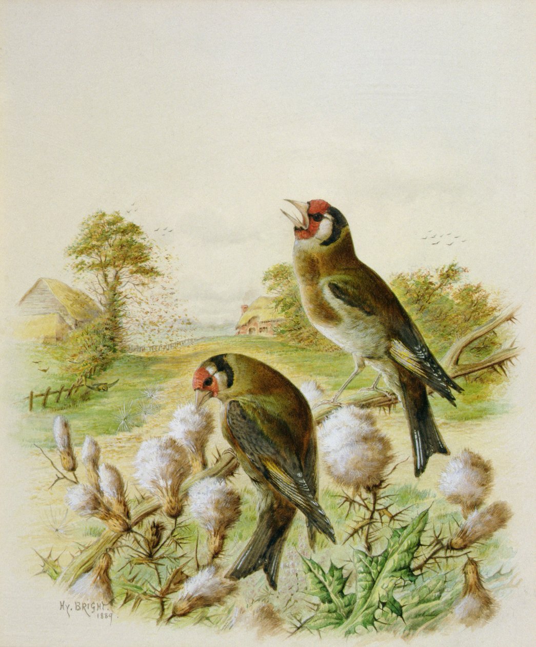 Devedikeni üzerinde saka kuşu, 1889 by Harry Bright