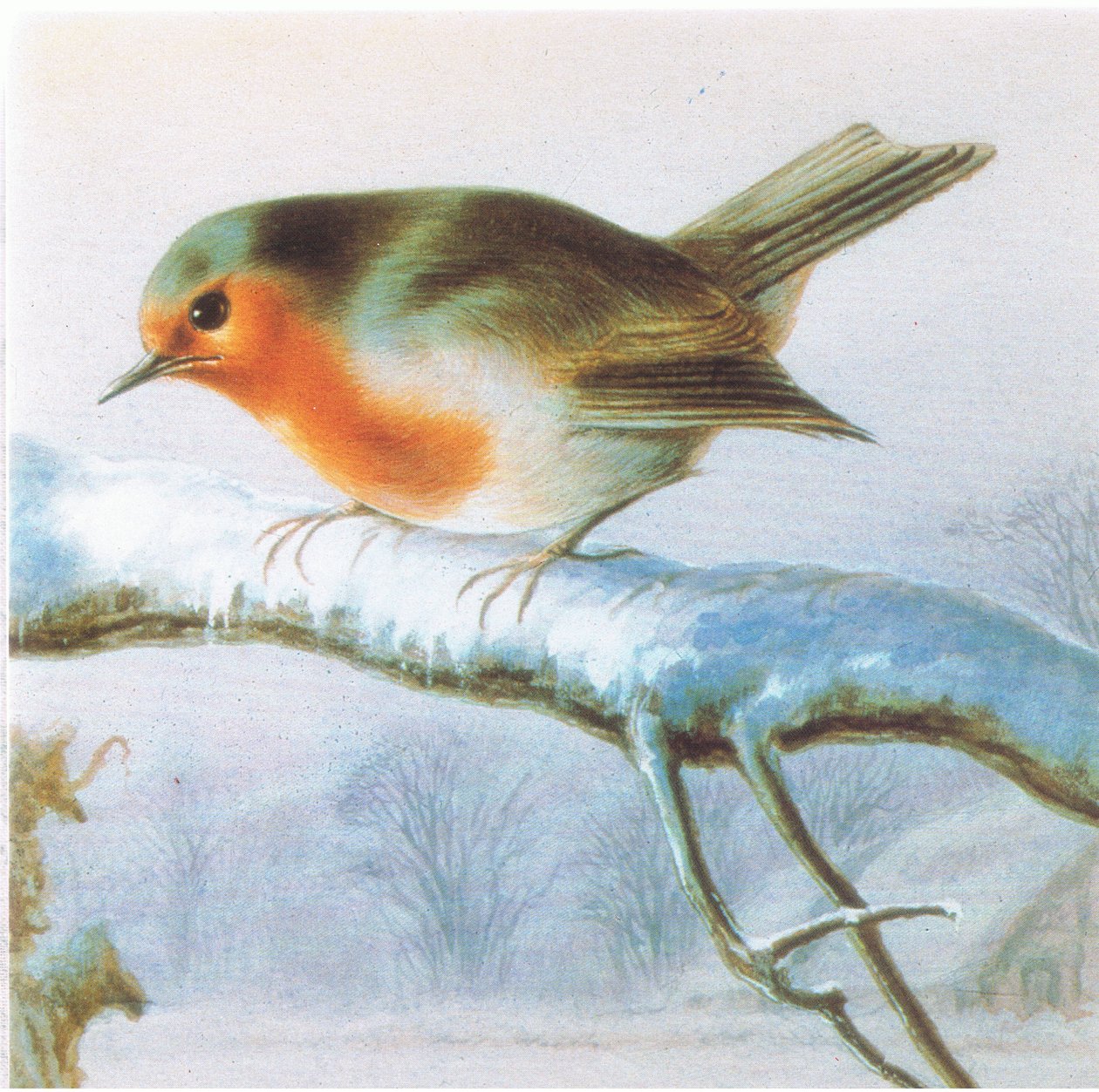 Robin, renkli Noel kartı by Harry Bright