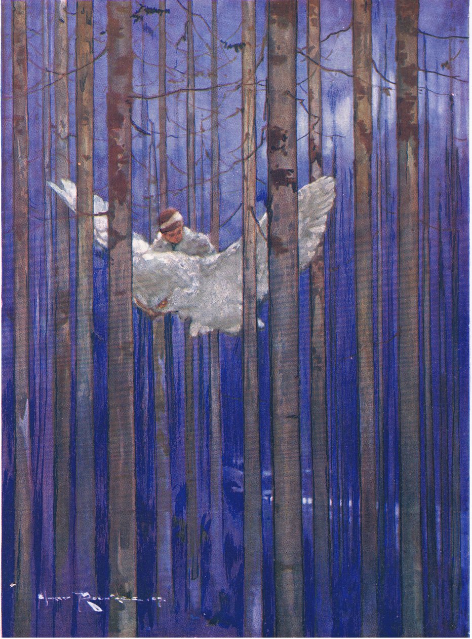 Baykuş ve Gilbert ay ışığında muhteşem gezintiler yaptılar (The Forest Foundling