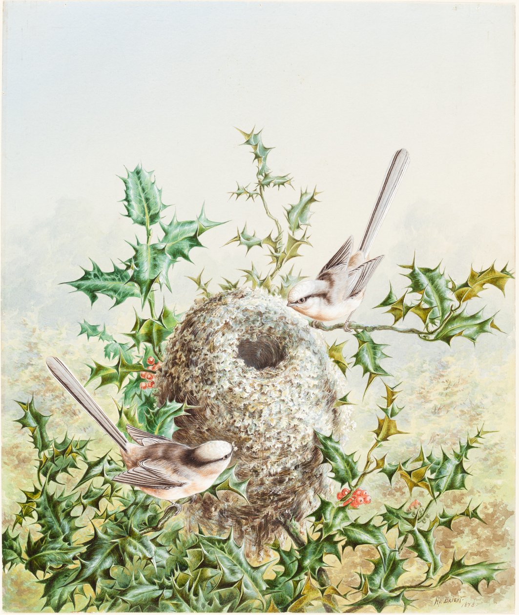 Mercan Kuşları ve Holly Ağacındaki Yuvaları by Harry Bright