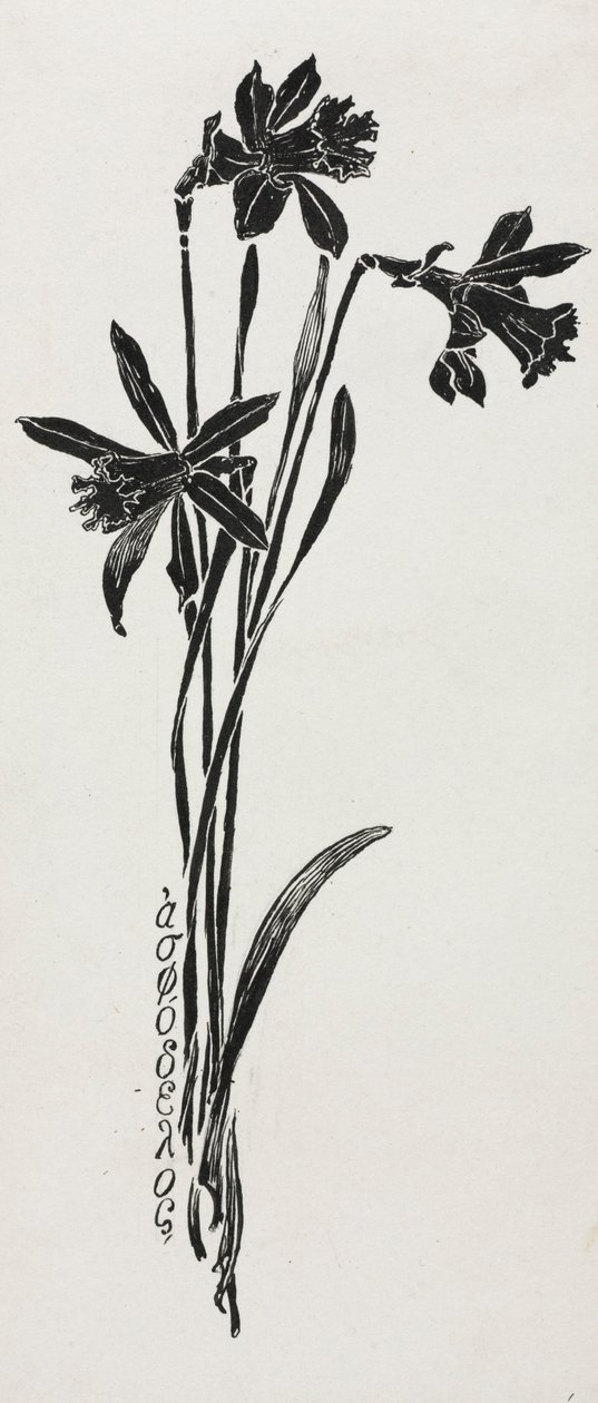  by Harry Fenn