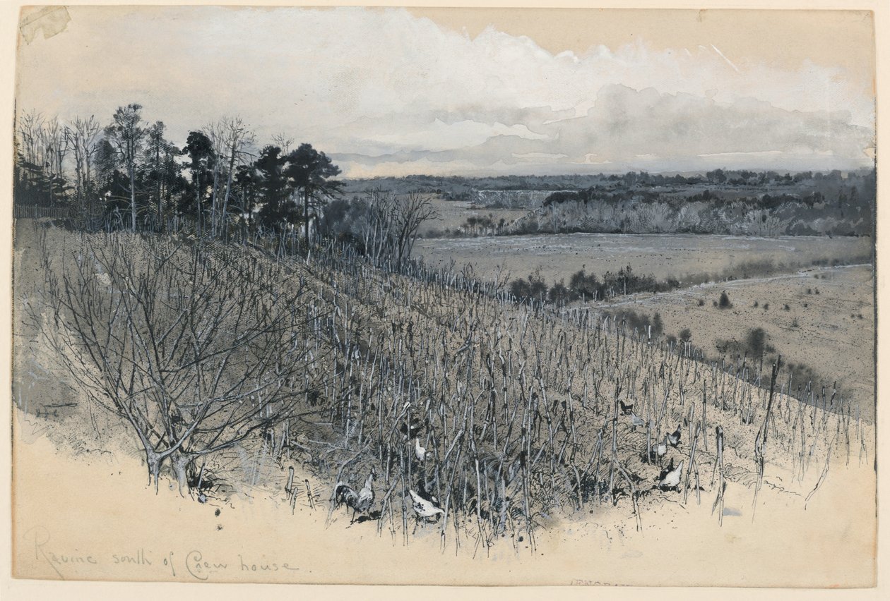 Crew's Hill'in Batı Yakasındaki Konfederasyon Saldırısının Sahnesi by Harry Fenn