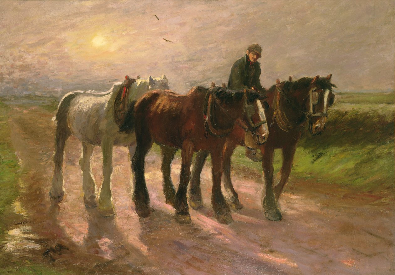 eve doğru by Harry Fidler