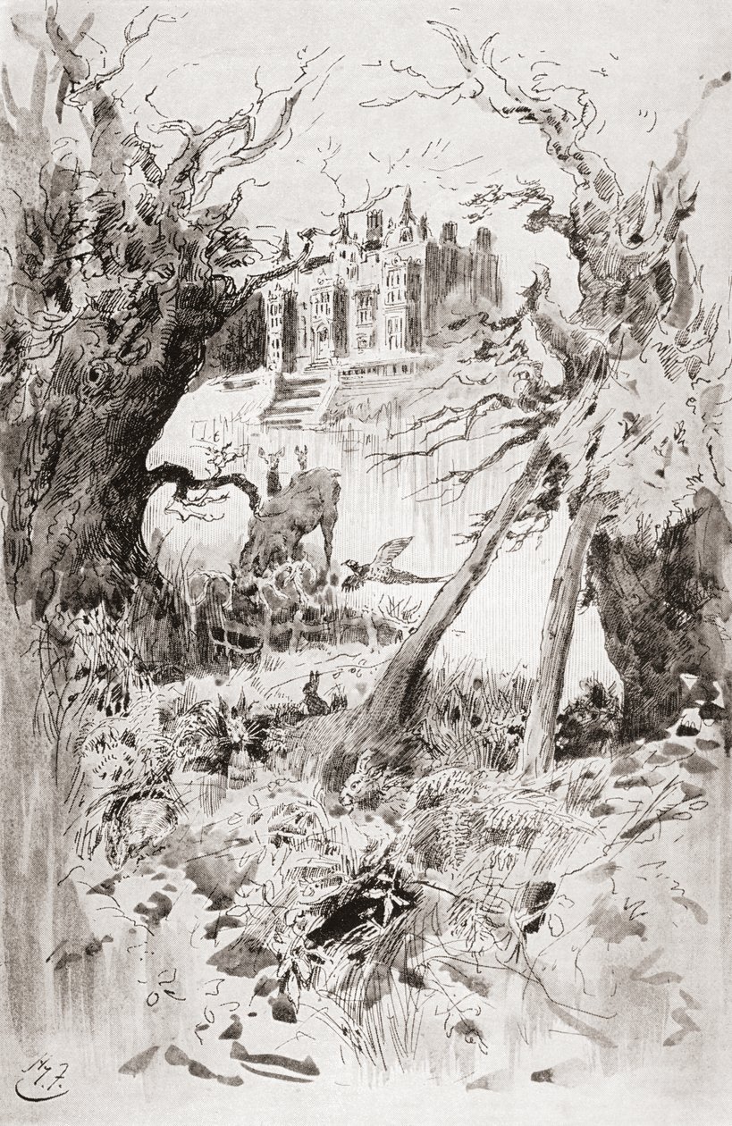 Kasvetli ev. Charles Dickens'ın Kasvetli Ev romanı için Harry Furniss'in çizimi, The Testimonial Edition'dan, 1910'da yayınlandı. by Harry Furniss