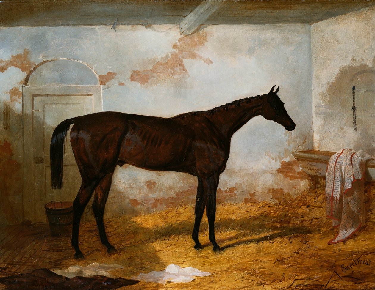 Bay A.W. Hill