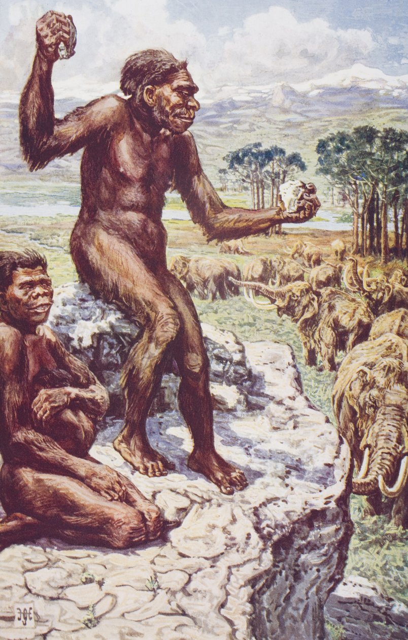 Neandertal İnsanlığı, HG Wells'in 'Tarihin Ana Hatları'ndan bir çizim, Cilt I, 1920'de yayınlandı (renkli taş) by Harry Hamilton (after) Johnston