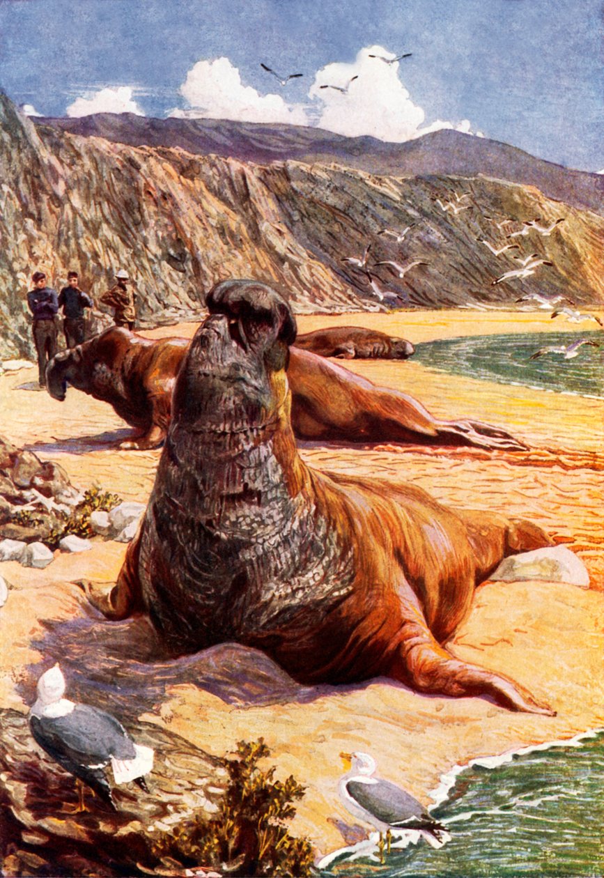  by Harry Hamilton (after) Johnston