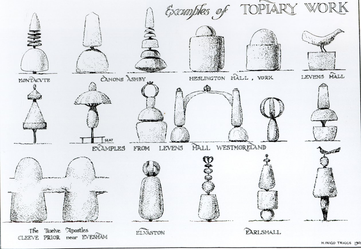 Budama Sanatı Örnekleri, 1902 by Harry Inigo Triggs