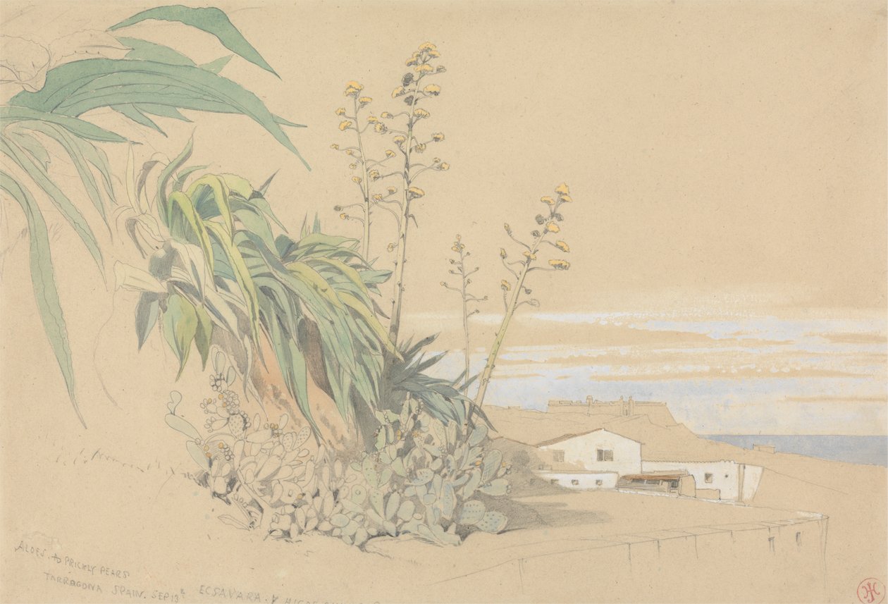 Aloes ve Dikenli Armutlar, Tarragona, İspanya by Harry John Johnson
