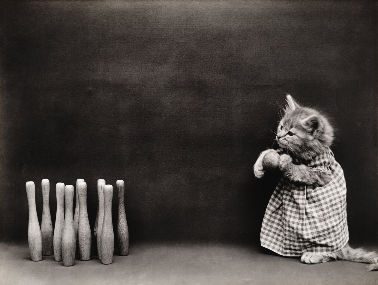  by Harry Whittier Frees