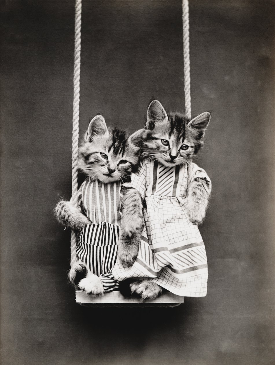  by Harry Whittier Frees
