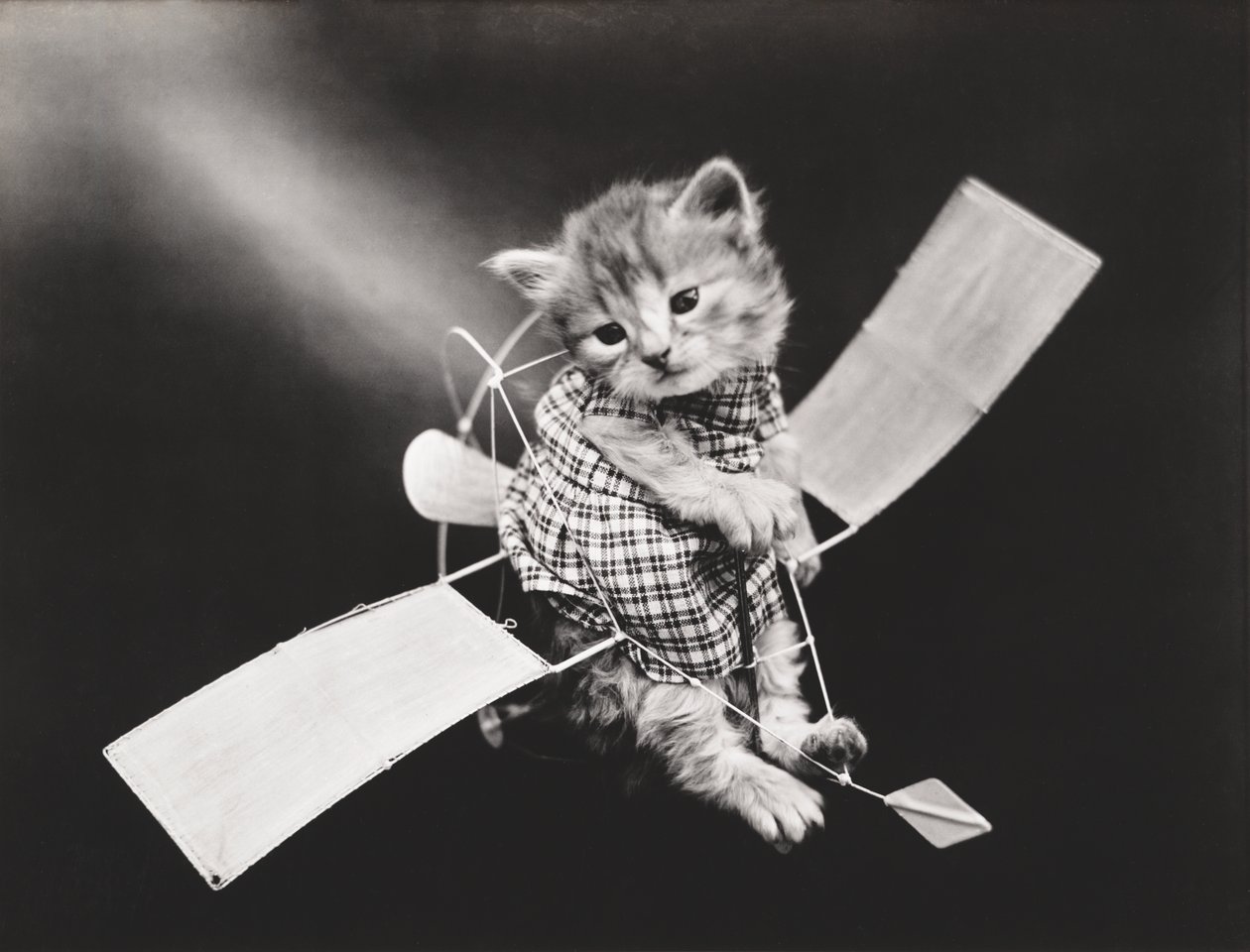  by Harry Whittier Frees