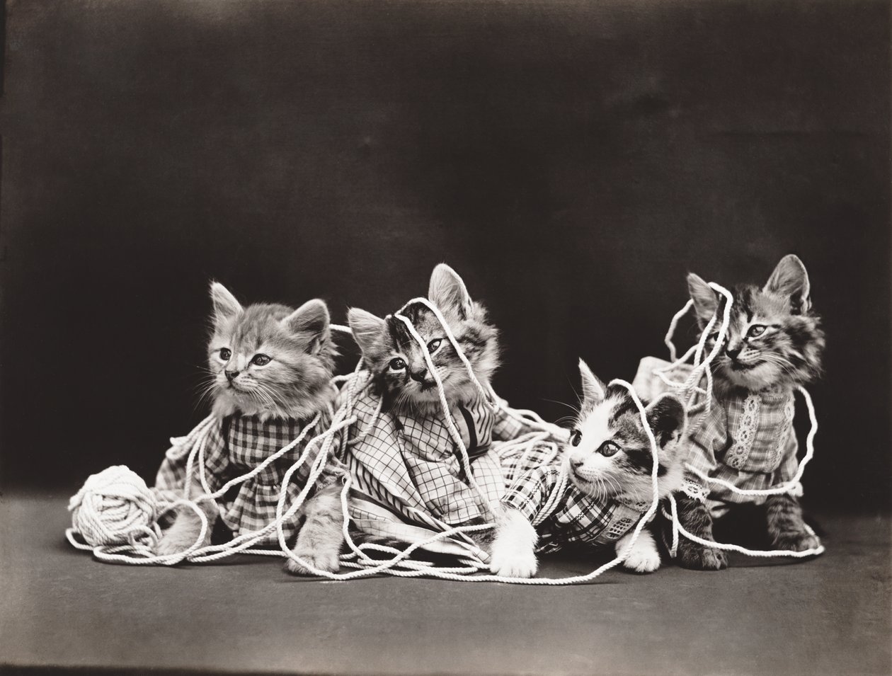  by Harry Whittier Frees