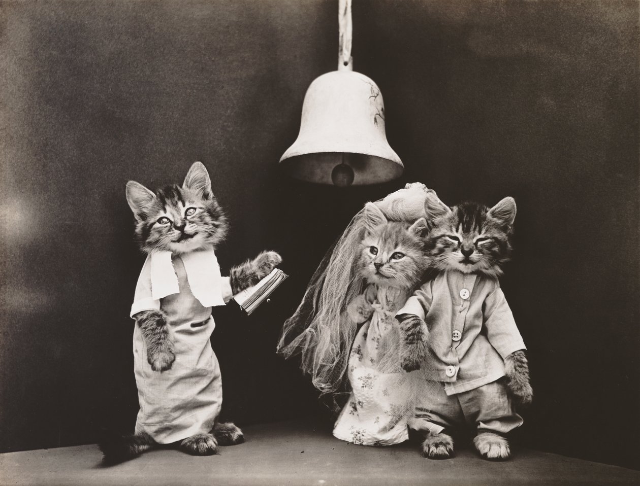  by Harry Whittier Frees