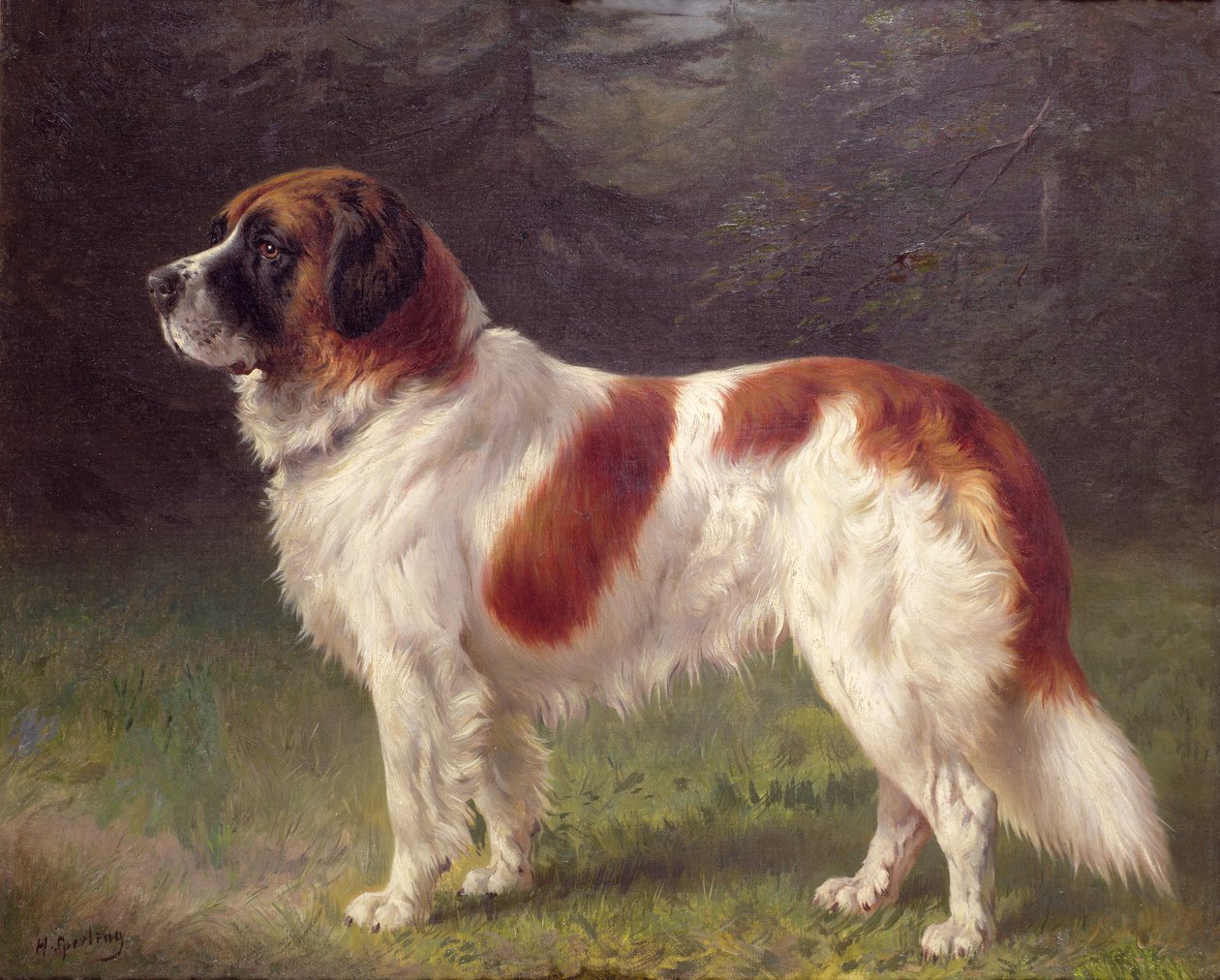 Aziz Bernard by Heinrich Sperling