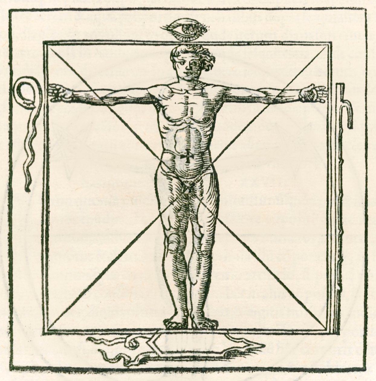 Adam göz, yılan, yedi bölüm personel ve kalkan sembolleriyle çevrili bir meydanda. Heinrich Cornelius Agrippa von Nettesheim