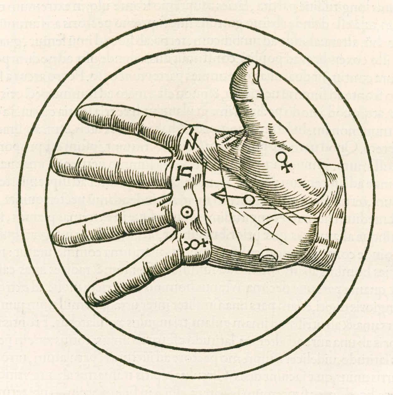 1533