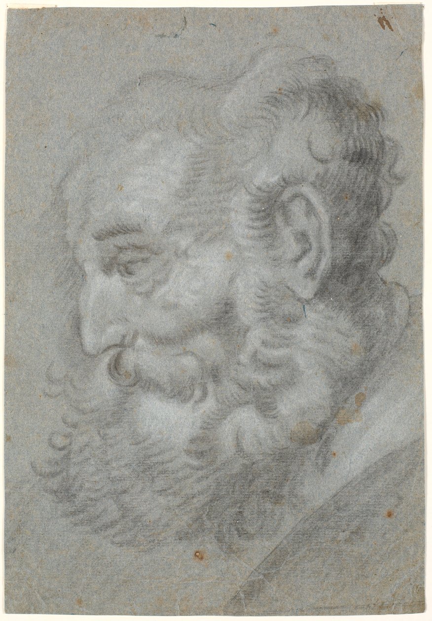 Oldingehoved, profil sola by Heinrich Dittmers