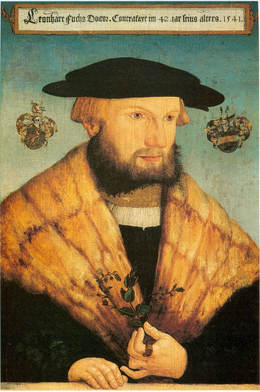 by Heinrich Füllmaurer