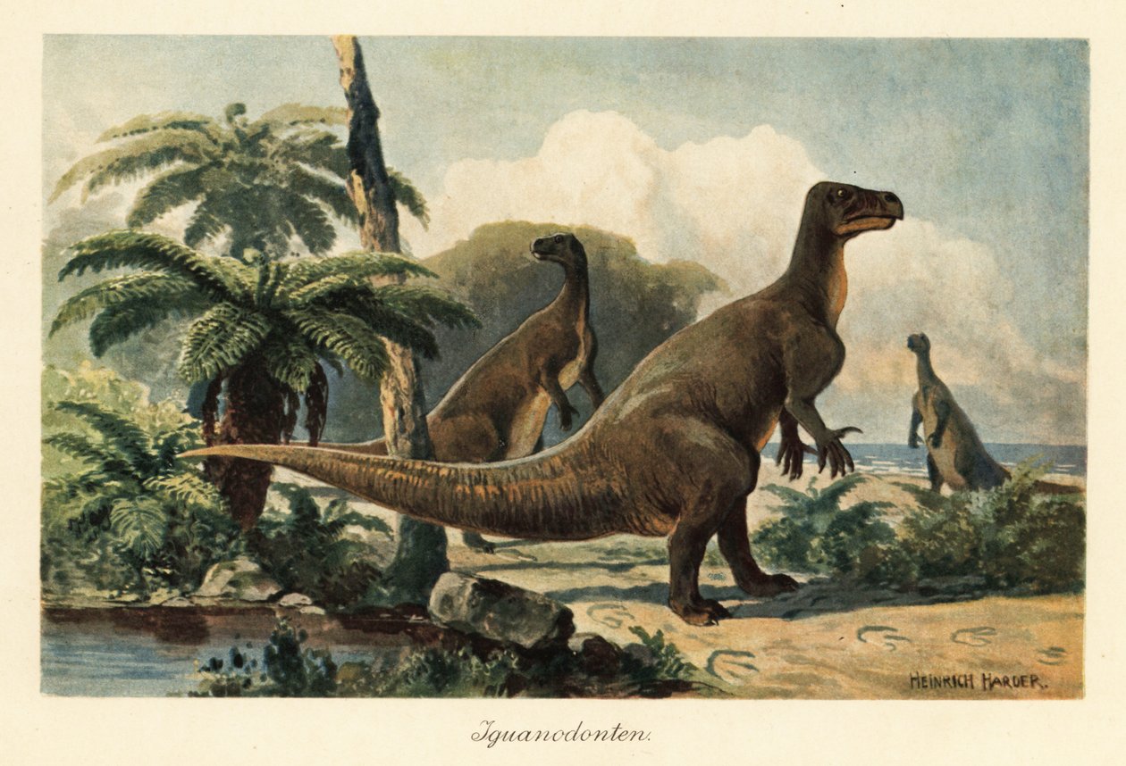 Iguanodon bernissartensis, tarih öncesi bir eğrelti otu ormanında. by Heinrich Harder