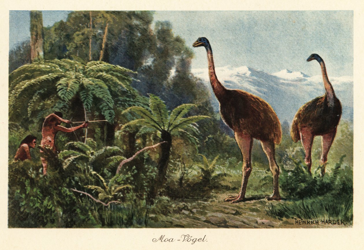 Moa kuşları, erkekler tarafından ok ve yaylarla avlanıyor. by Heinrich Harder