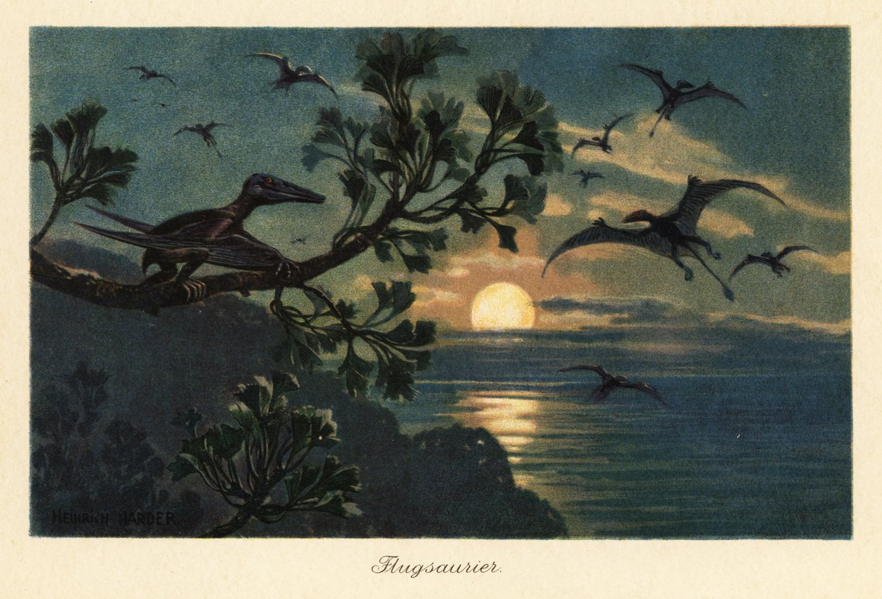 Ay ışığında uçan Rhamphorhynchus pterosaurlar. by Heinrich Harder