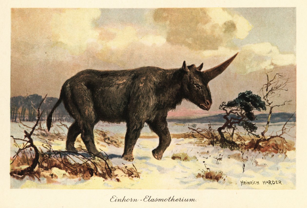 Sibirya tek boynuzlu at, Elasmotherium sibiricum, karlı bir ovada. by Heinrich Harder