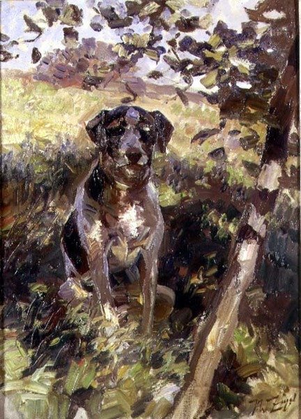 bekas by Heinrich Johann von Zugel