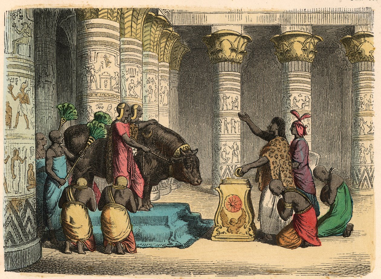 Antik Mısır : Apis Boğasına Tapınma by Heinrich Leutemann