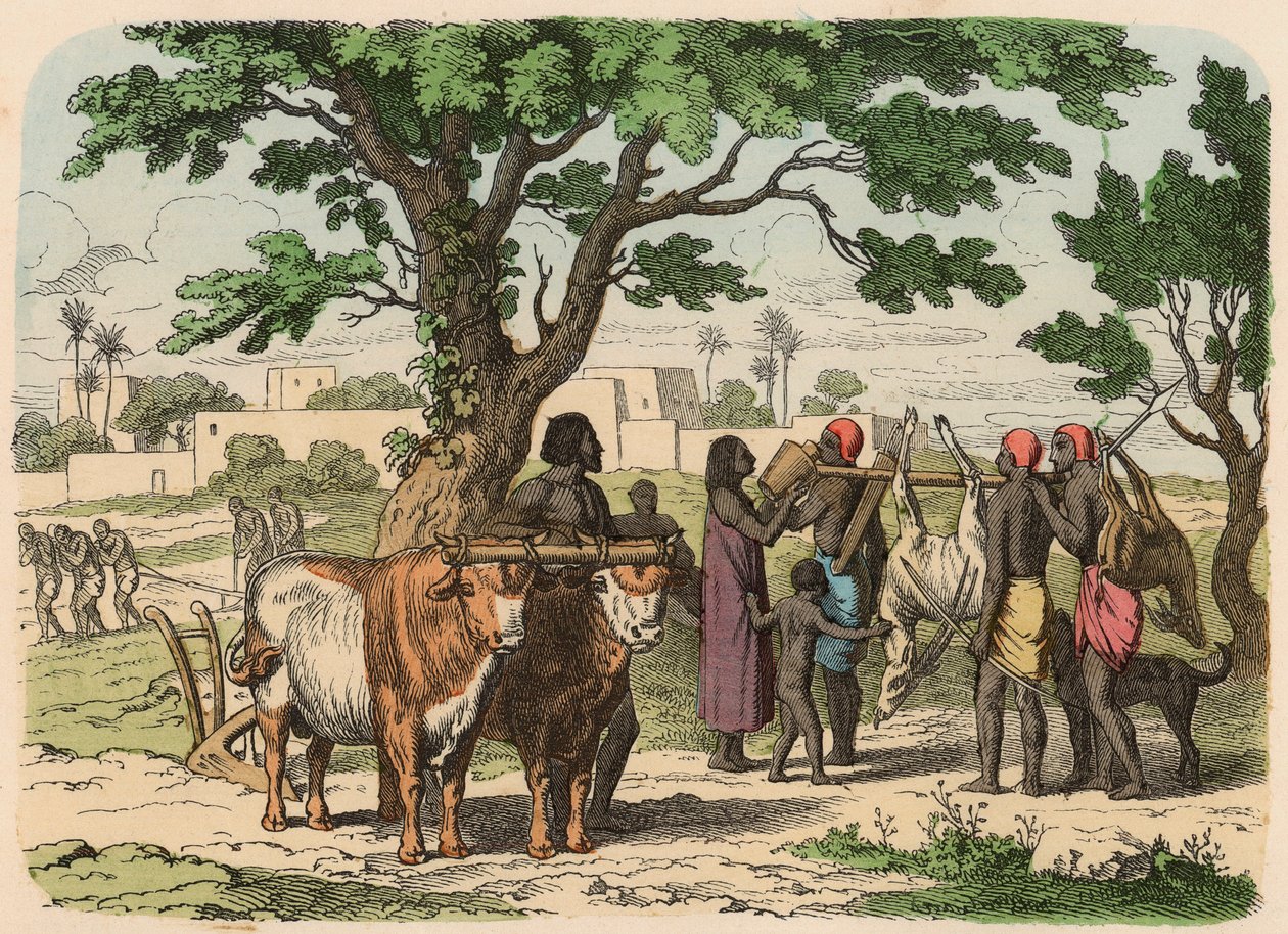 Antik Mısır: çiftçilik ve avcılık by Heinrich Leutemann