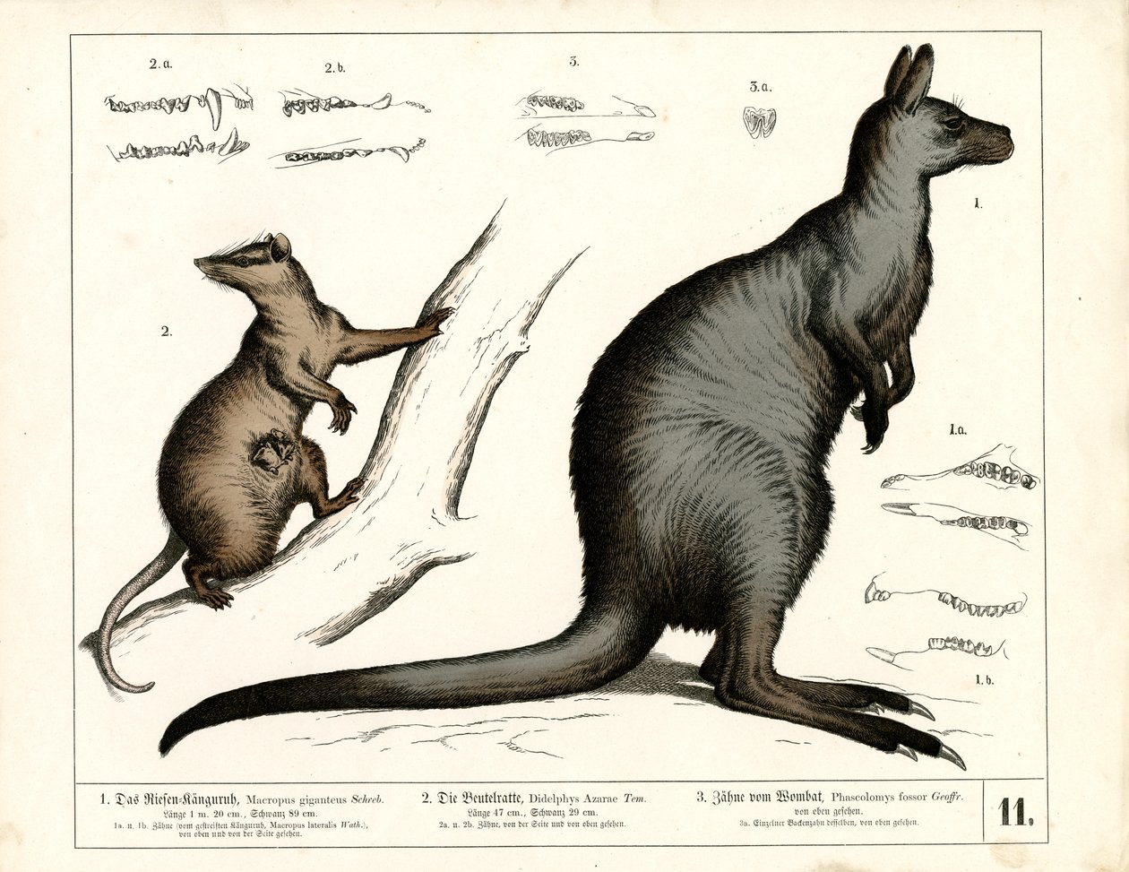 by Heinrich Leutemann