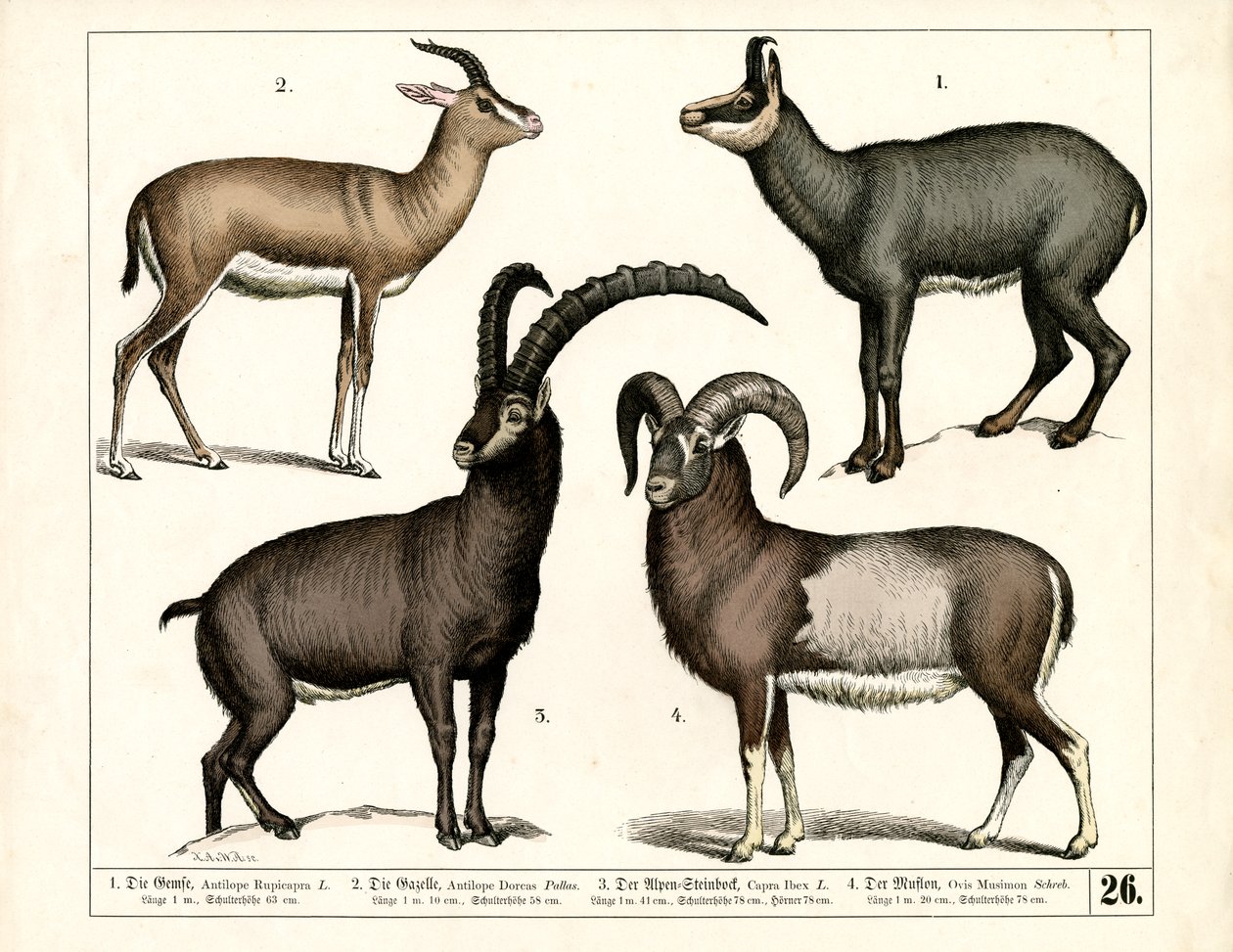  by Heinrich Leutemann